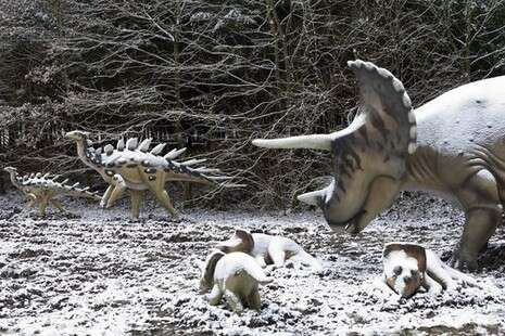 �����: ��-��-��