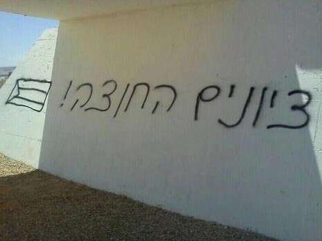 צילום: דן לוי צילום: דן לוי