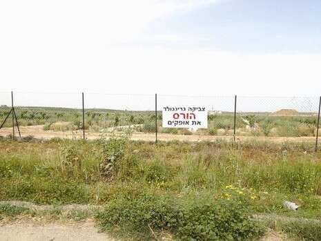 צילום: באדיבות נאור תקשורת צילום: באדיבות נאור תקשורת