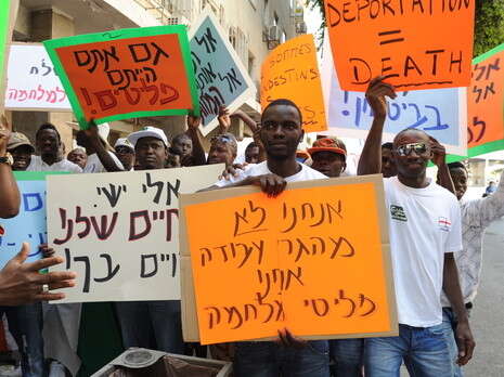 צילום: ראובן קסטרו צילום: ראובן קסטרו