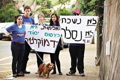 צילום: אסף פרידמן צילום: אסף פרידמן