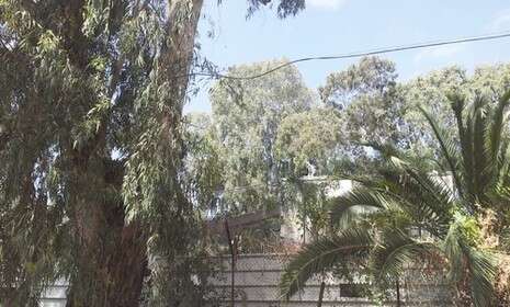 צילום: זמן חדרה צילום: זמן חדרה