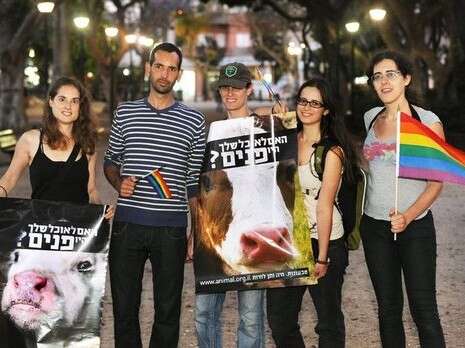 צילום: ראובן קסטרו צילום: ראובן קסטרו