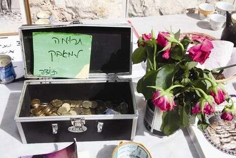 צילום: נעם שרון צילום: נעם שרון
