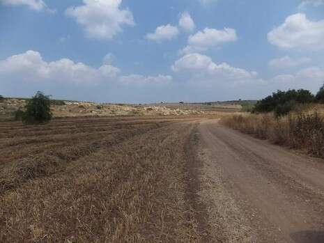 דובי זכאי דובי זכאי