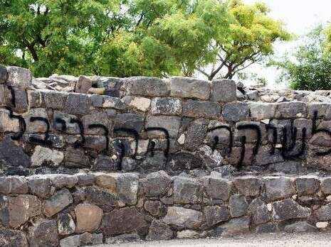 צילום: מוטי דולב, רשות הטבע והגנים צילום: מוטי דולב, רשות הטבע והגנים