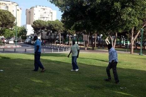 צילום: נאור רהב צילום: נאור רהב