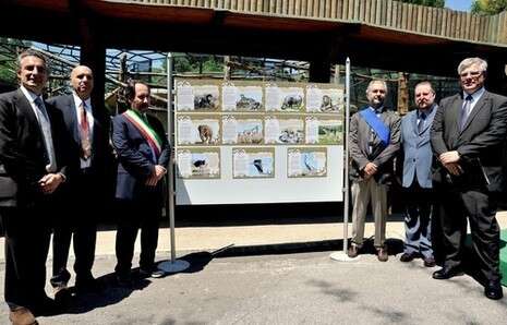 צילום: די ג'ובאני צילום: די ג'ובאני