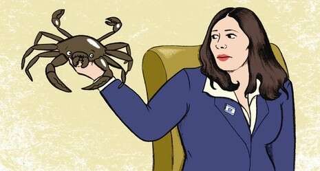 איור: רחלי שלו איור: רחלי שלו