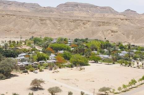 צילום: יהודה בן יתח צילום: יהודה בן יתח