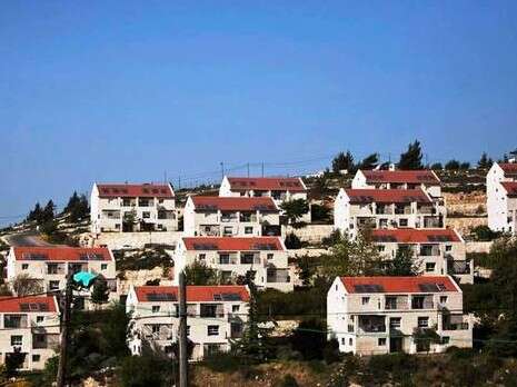 צילום: רויטרס צילום: רויטרס