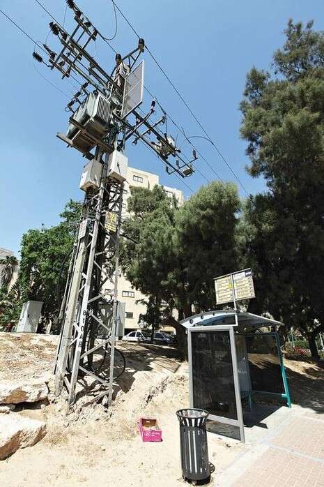 צילום: יהודה לחיאני צילום: יהודה לחיאני