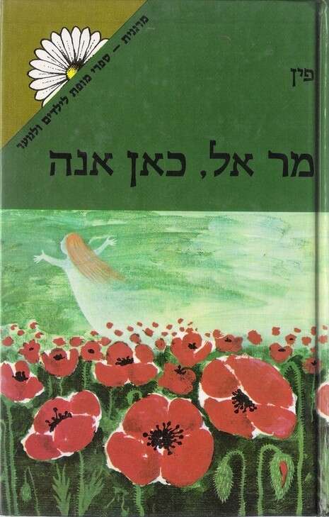 כריכת הספר כריכת הספר