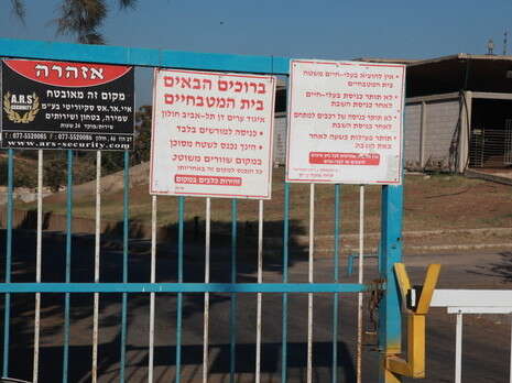 צילום: יהונתן שאול צילום: יהונתן שאול