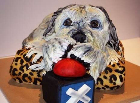 באדיבות: Cake Doggy Dog באדיבות: Cake Doggy Dog
