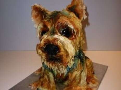 באדיבות Cake Doggy Dog באדיבות Cake Doggy Dog