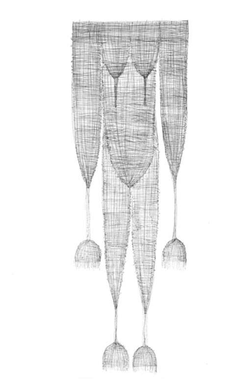 ��� ����