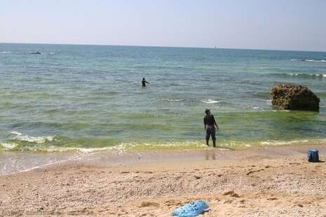 צילום: דרור עזרא צילום: דרור עזרא