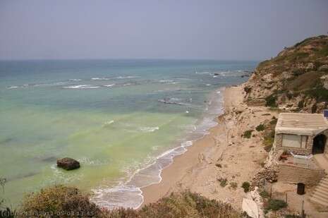צילום: דרור עזרא צילום: דרור עזרא