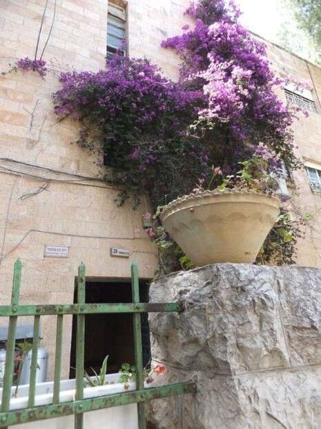 צילום: דובי זכאי צילום: דובי זכאי