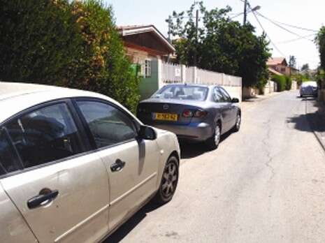 צילום: דודו גרינשפן צילום: דודו גרינשפן
