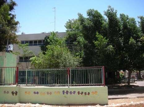צילום: טלי בנדו לאופר צילום: טלי בנדו לאופר