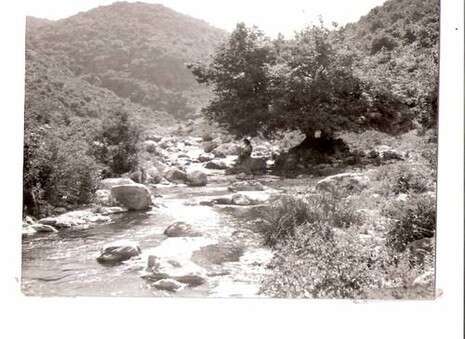 צילום: עזריה אלון צילום: עזריה אלון
