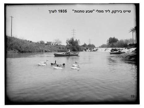 צילום: דליה אור צילום: דליה אור