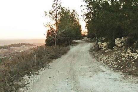 צילום: דובי זכאי צילום: דובי זכאי
