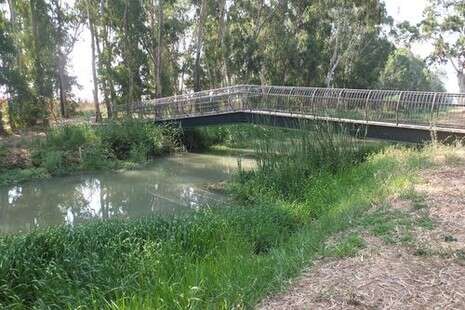 צילום: דובי זכאי צילום: דובי זכאי