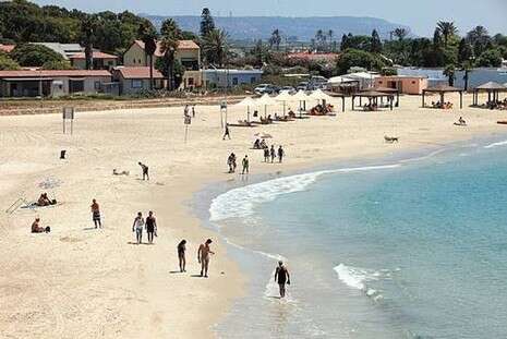 צילום: מקס ילינסון צילום: מקס ילינסון
