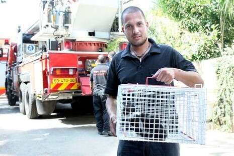 צילום: חיים שוורצנברג צילום: חיים שוורצנברג