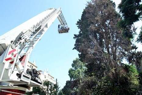 צילום: חיים שוורצנבג צילום: חיים שוורצנבג