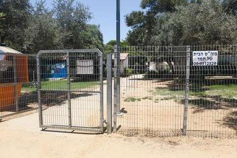 צילום: אסף פרידמן צילום: אסף פרידמן