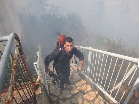 צילום: מקס ילינסון צילום: מקס ילינסון