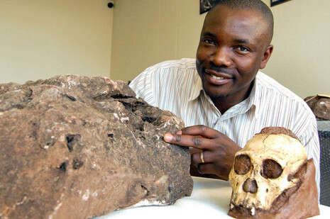צילום: באדיבות Wits Institute for Human Evolution, University of Witwatersrand צילום: באדיבות Wits Institute for Human Evolution, University of Witwatersrand