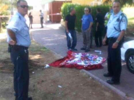 צילום: מקס ילינסון צילום: מקס ילינסון