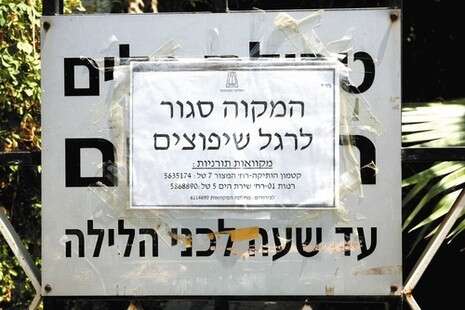 צילום: נעם שרון צילום: נעם שרון