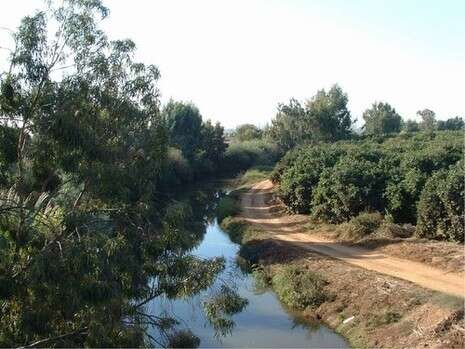 צילום: החברה להגנת הטבע צילום: החברה להגנת הטבע
