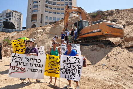 צילום: מגמה ירוקה צילום: מגמה ירוקה