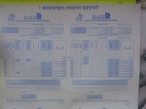 צילום: זמן תל אביב צילום: זמן תל אביב