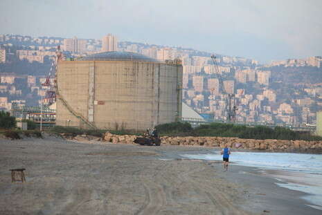 צילום: מקס ילינסון צילום: מקס ילינסון