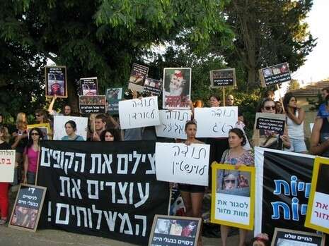 צילום: גידי קרטס צילום: גידי קרטס