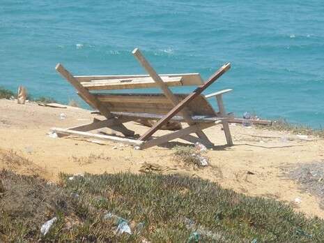 צילום: דורון ברוש צילום: דורון ברוש