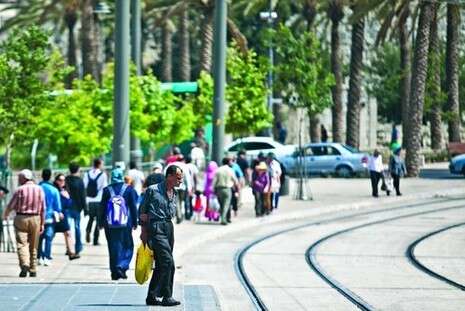 צילום: פלאש 90 צילום: פלאש 90