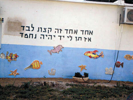 צילום: לאה הלר צילום: לאה הלר