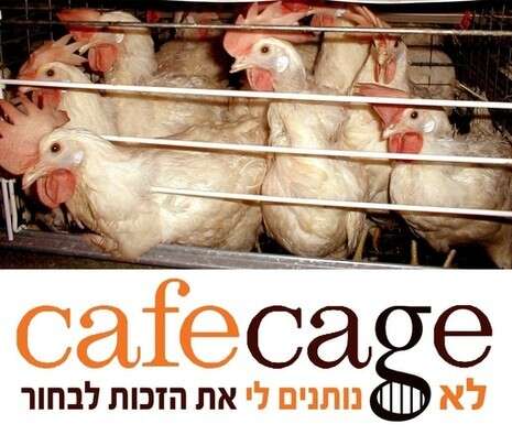 תנו לחיות לחיות תנו לחיות לחיות