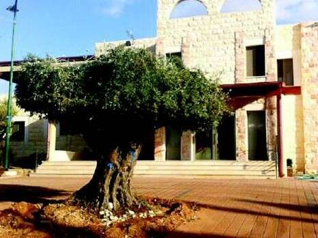 צילום: זמן חדרה צילום: זמן חדרה