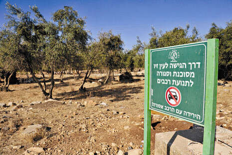 צילום: יגאל לוי צילום: יגאל לוי