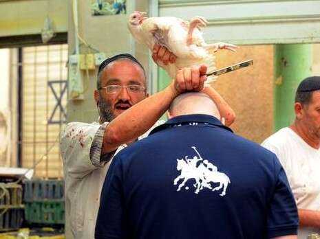 צילום: ראובן קסטרו צילום: ראובן קסטרו